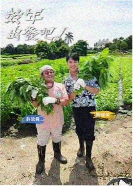 猫町散步番剧封面，治愈系短片